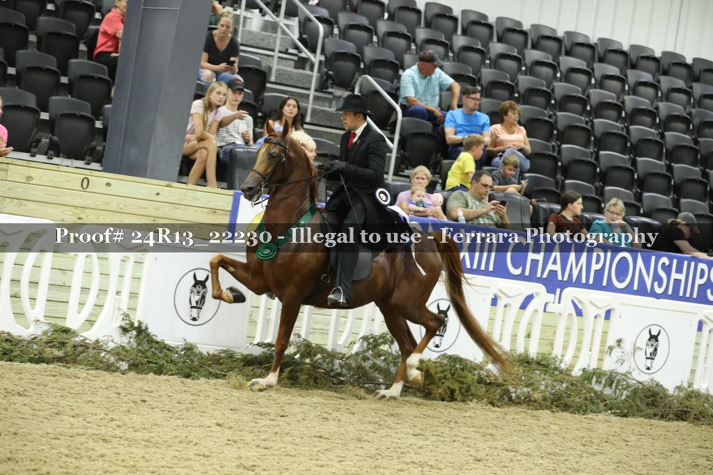 Proof 24R13_22230
