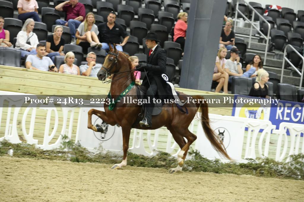 Proof 24R13_22231