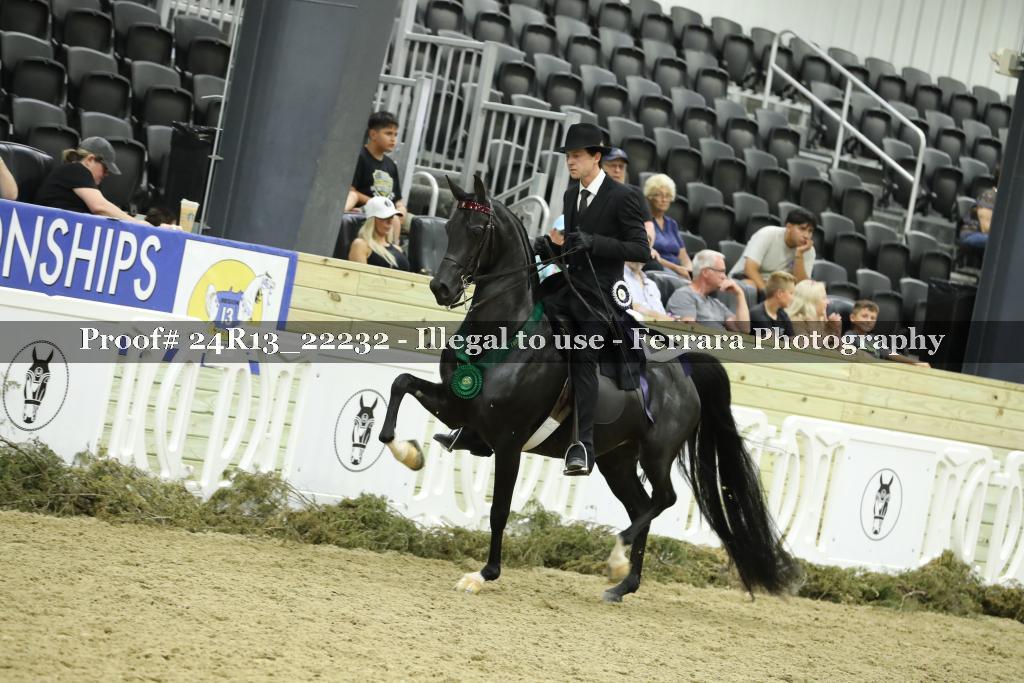 Proof 24R13_22232