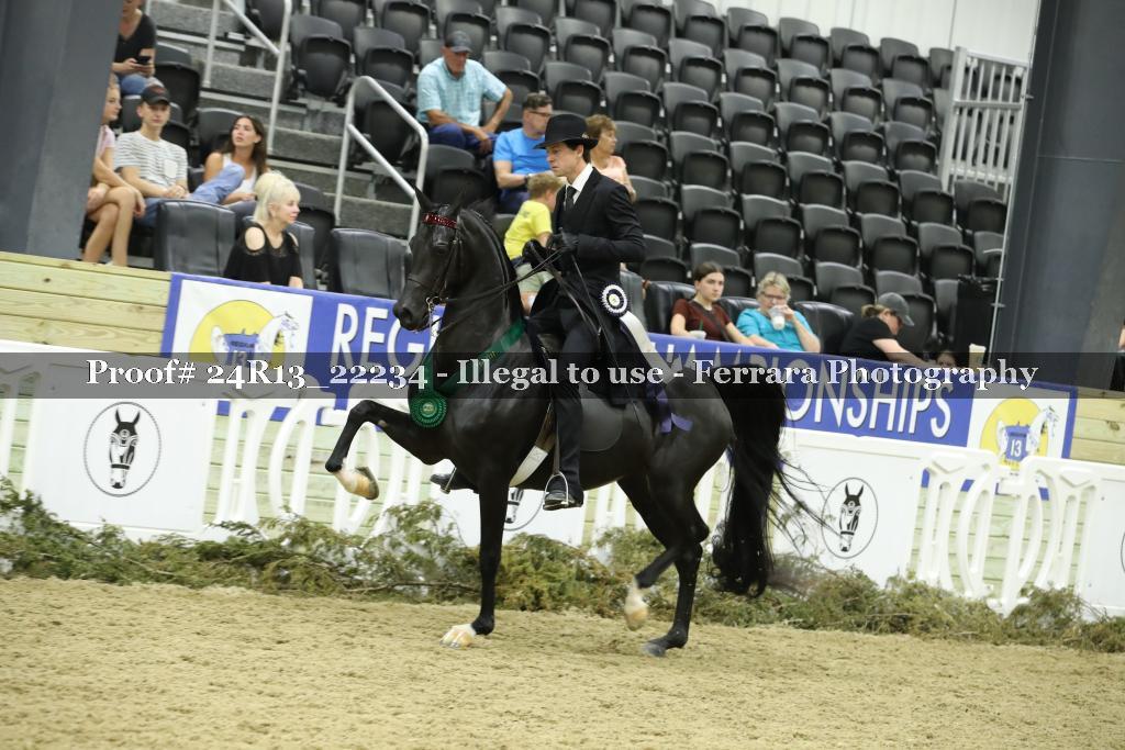 Proof 24R13_22234