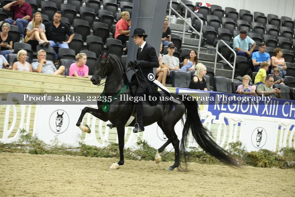 Proof 24R13_22235