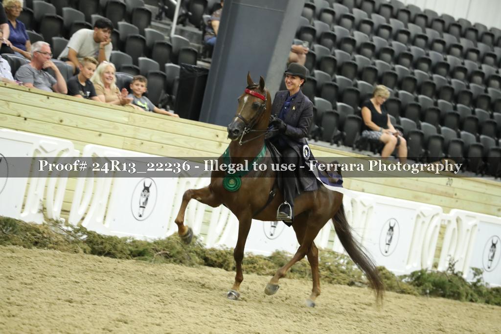 Proof 24R13_22236