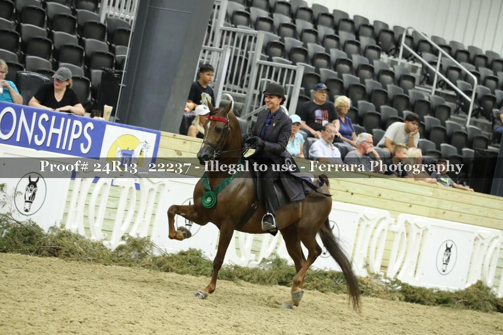 Proof 24R13_22237