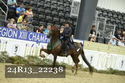 24R13_22238 proof