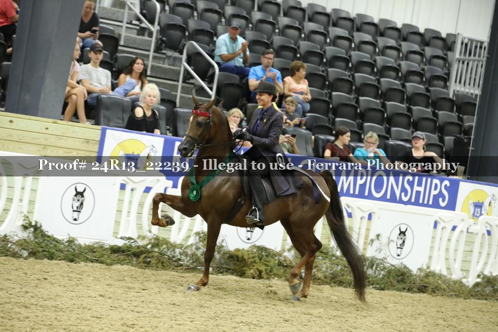 Proof 24R13_22239