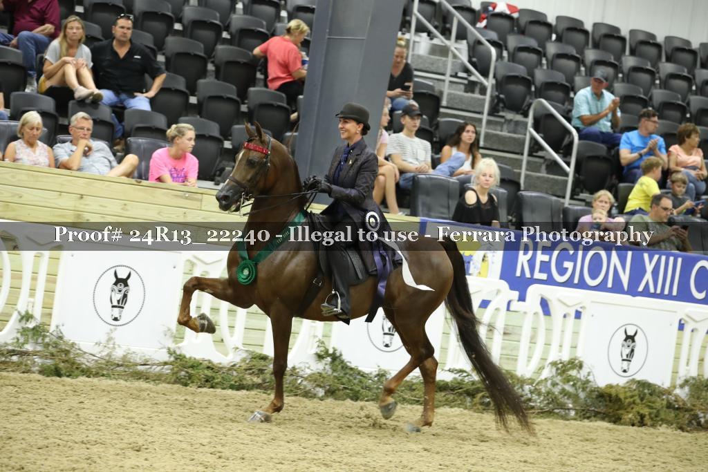 Proof 24R13_22240