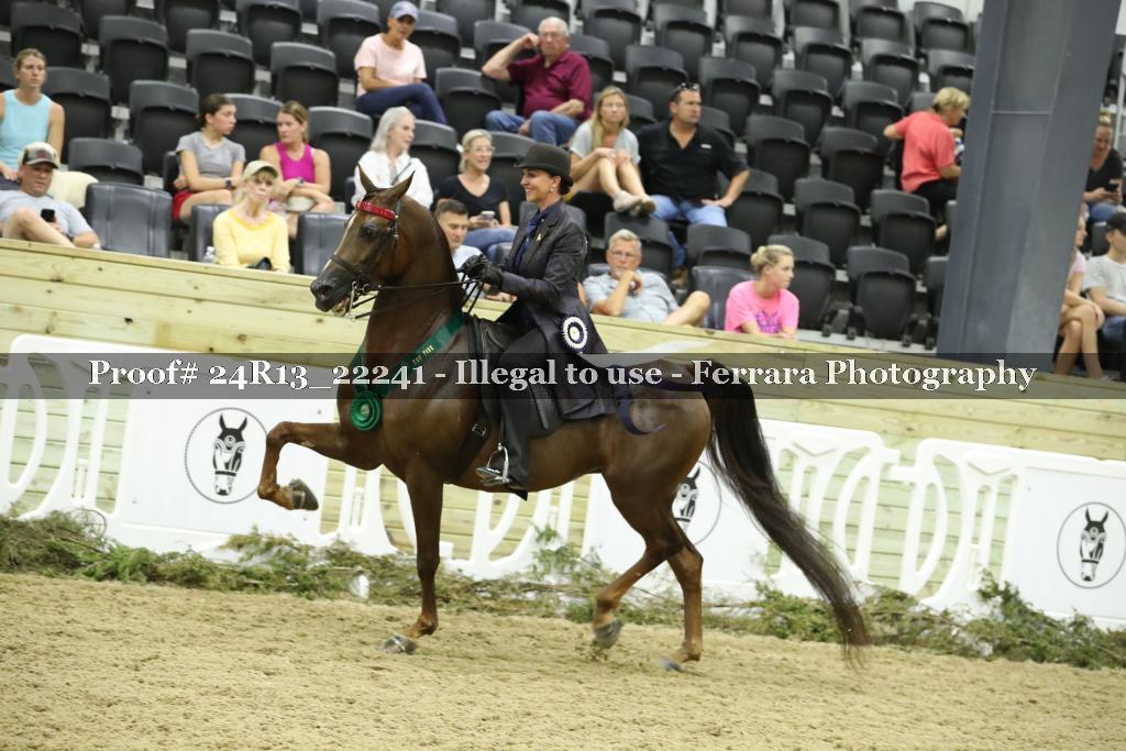 Proof 24R13_22241