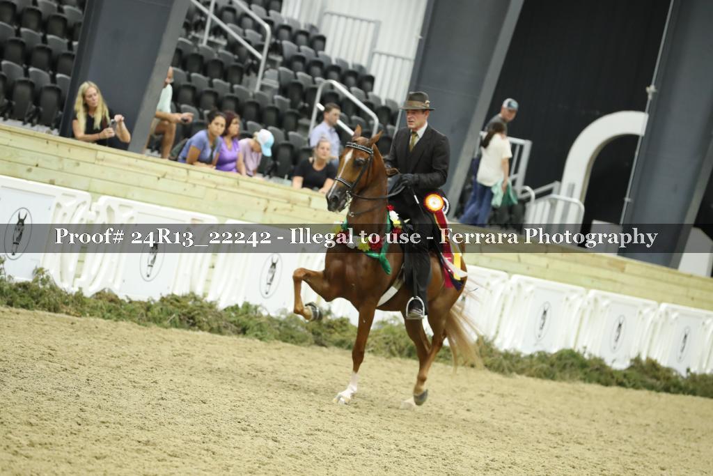 Proof 24R13_22242