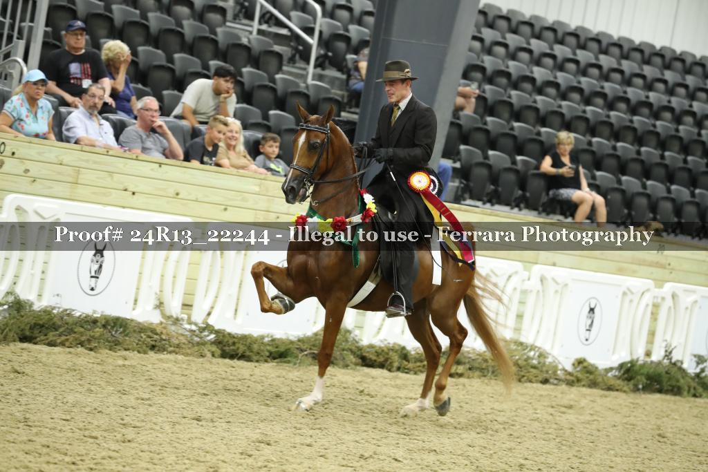 Proof 24R13_22244