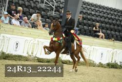24R13_22244 proof