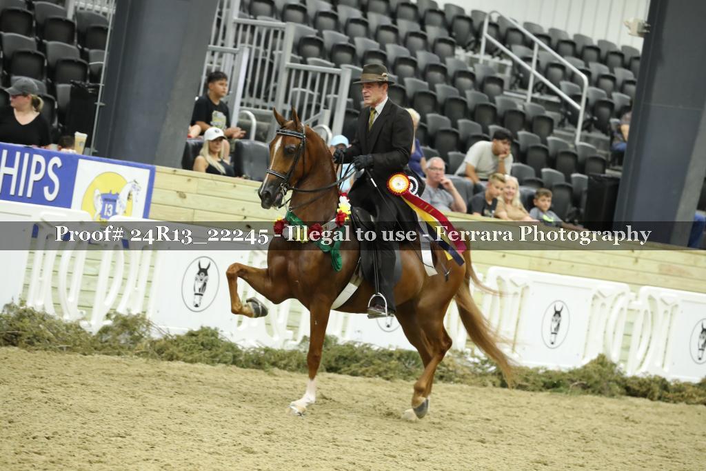 Proof 24R13_22245