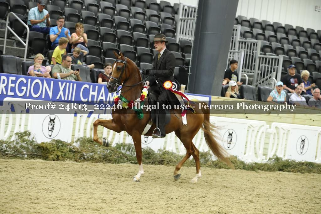 Proof 24R13_22246