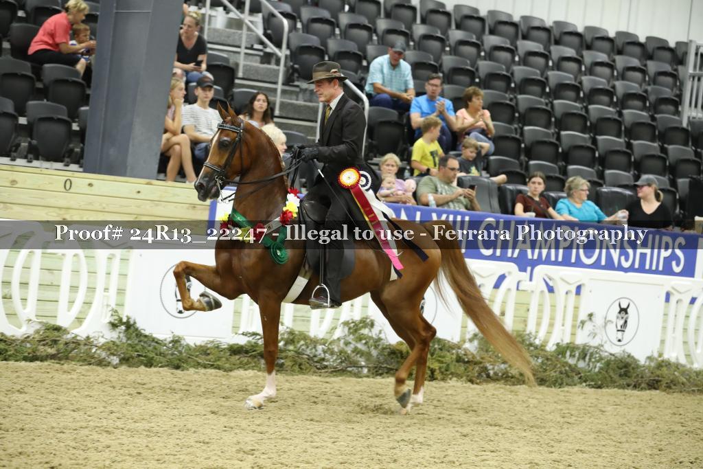 Proof 24R13_22247