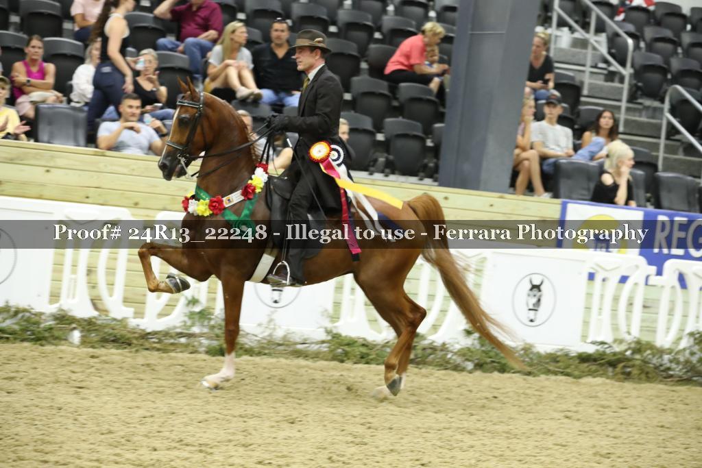 Proof 24R13_22248