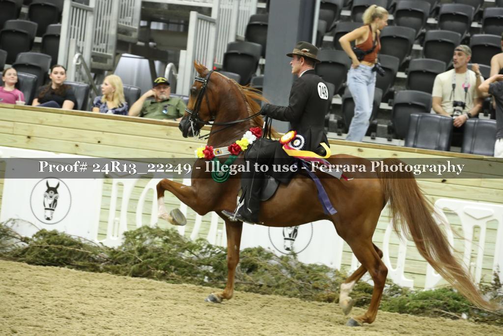 Proof 24R13_22249