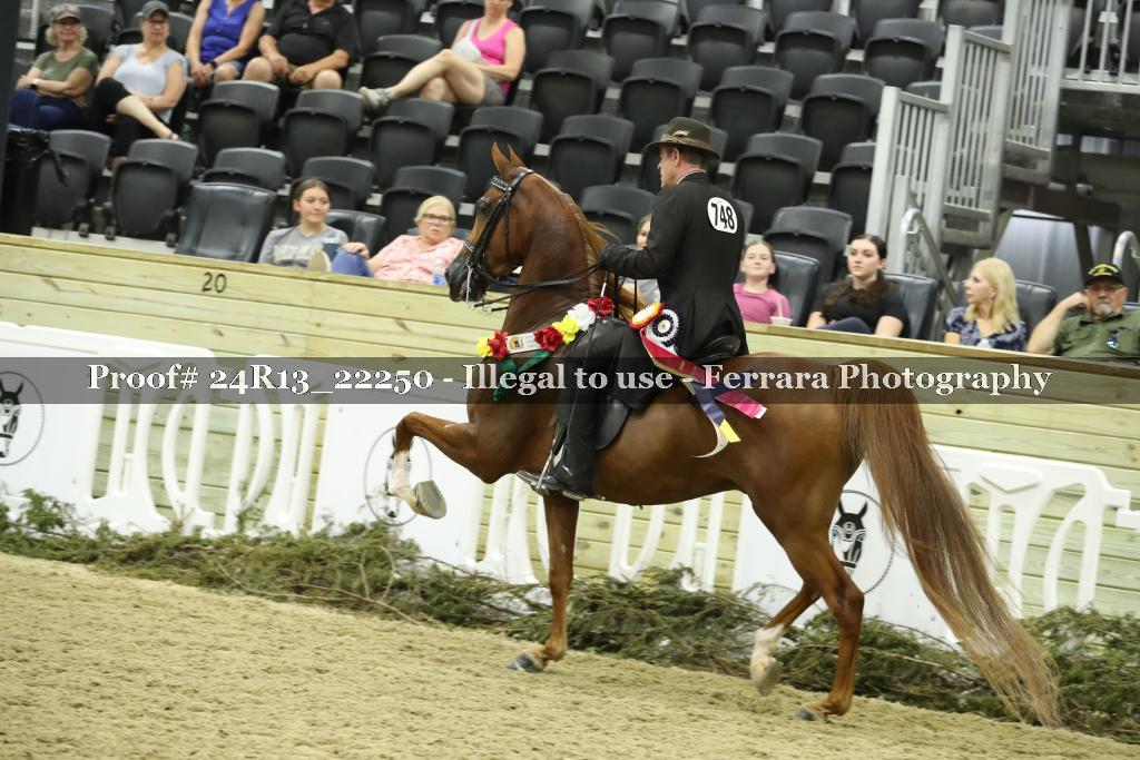 Proof 24R13_22250