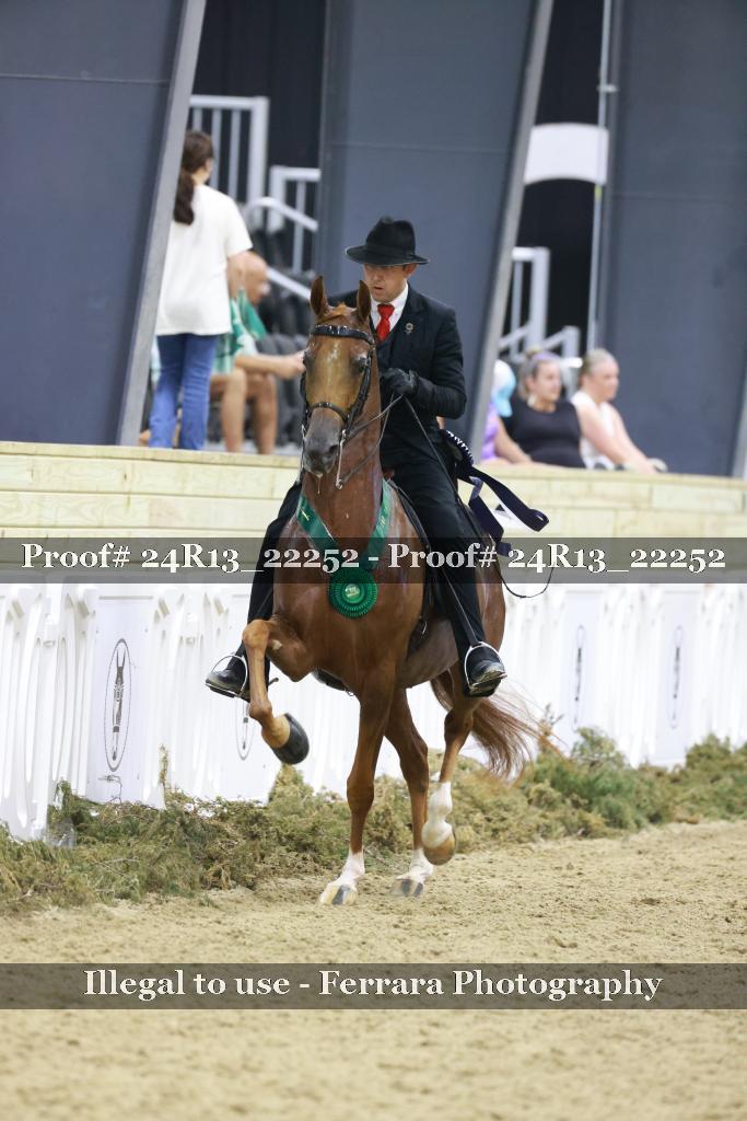 Proof 24R13_22252