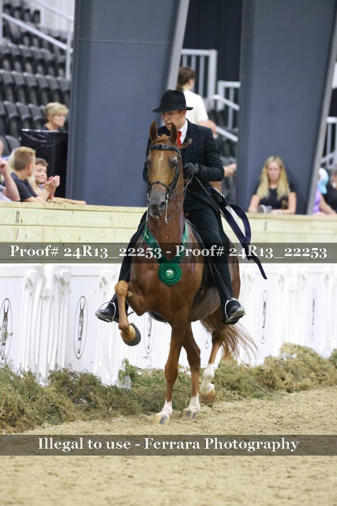 Proof 24R13_22253
