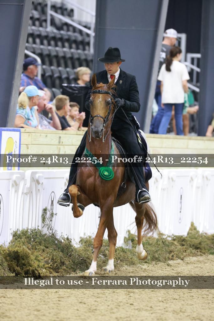 Proof 24R13_22254
