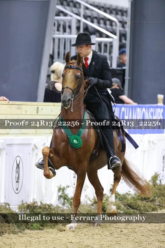 Proof 24R13_22256