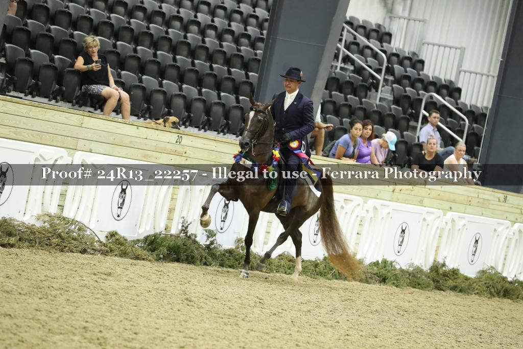 Proof 24R13_22257