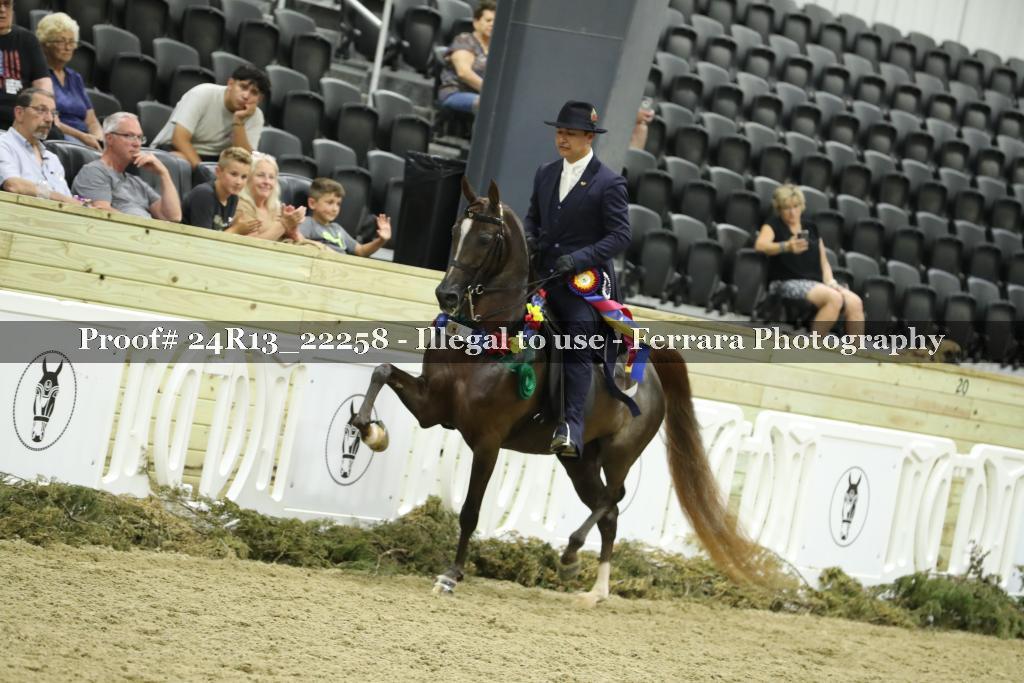 Proof 24R13_22258