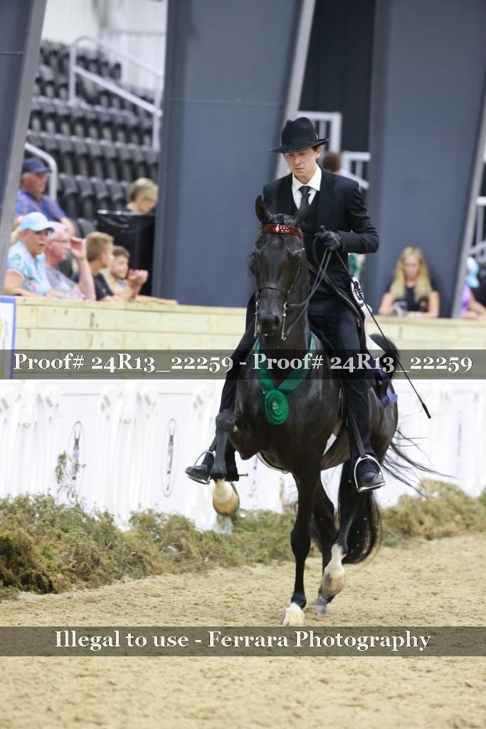 Proof 24R13_22259
