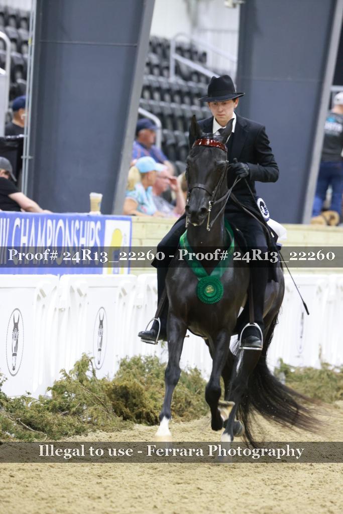 Proof 24R13_22260