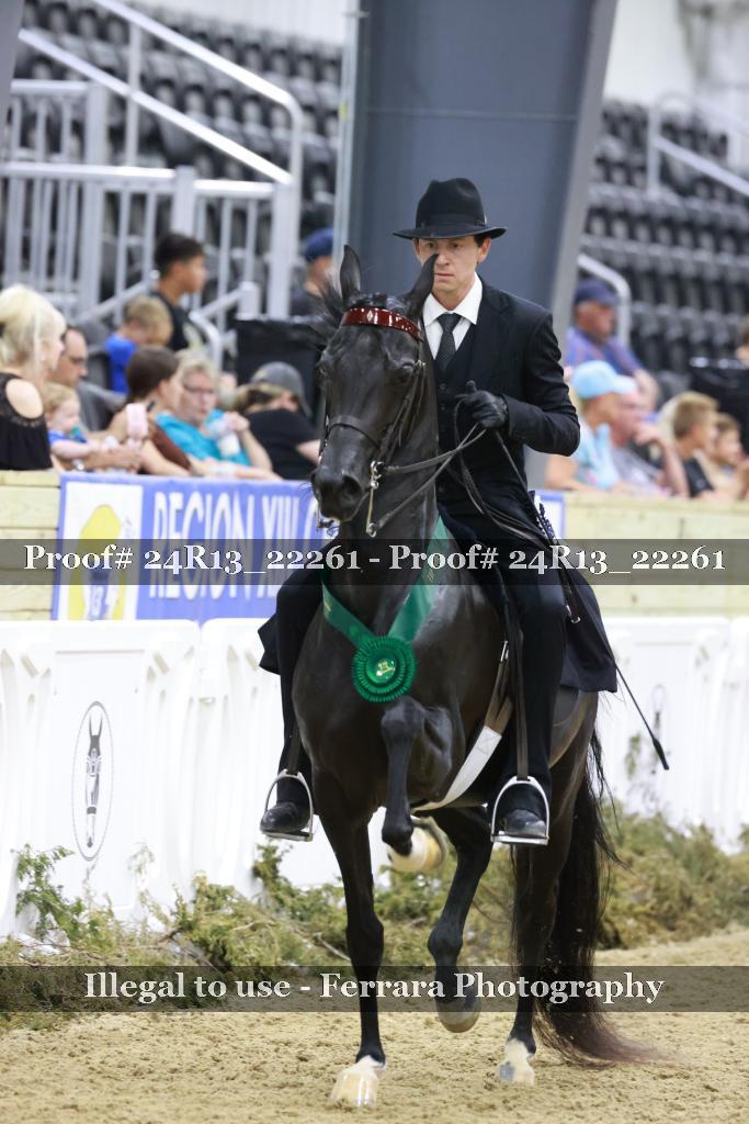 Proof 24R13_22261