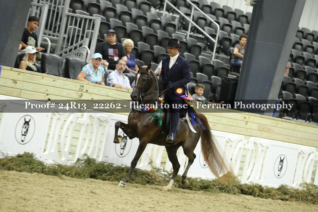 Proof 24R13_22262