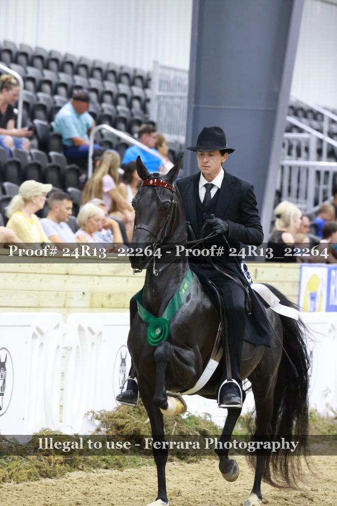Proof 24R13_22264