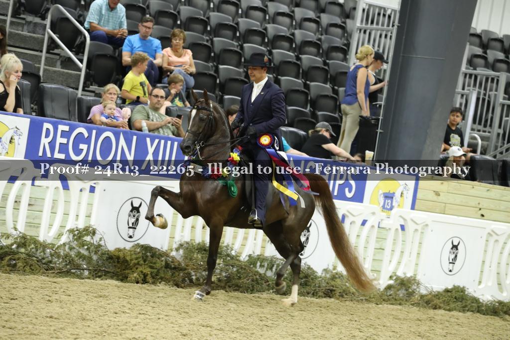 Proof 24R13_22265