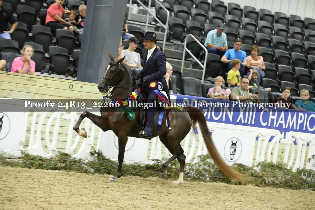 Proof 24R13_22266