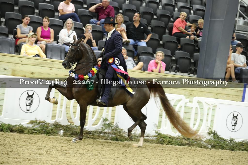 Proof 24R13_22267