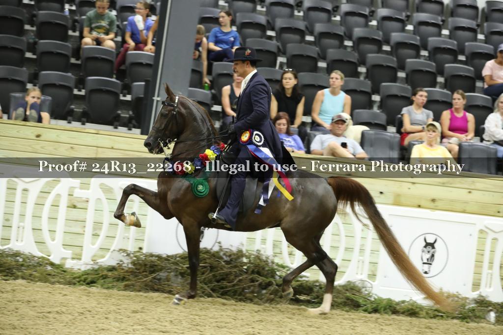 Proof 24R13_22268