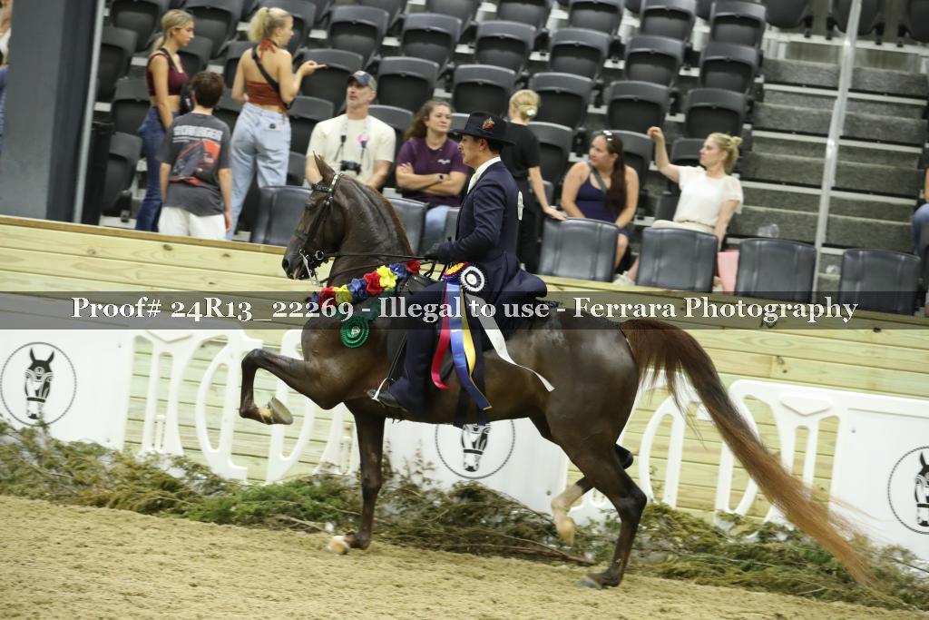 Proof 24R13_22269