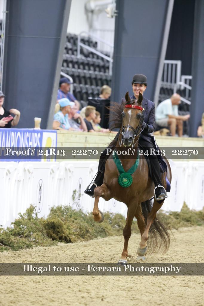 Proof 24R13_22270