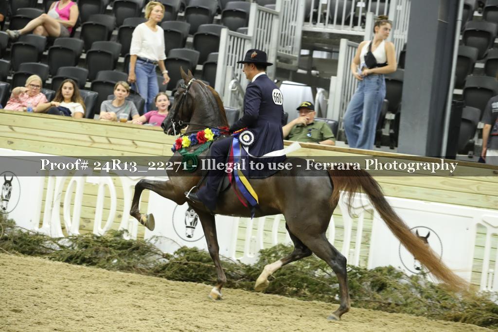 Proof 24R13_22271