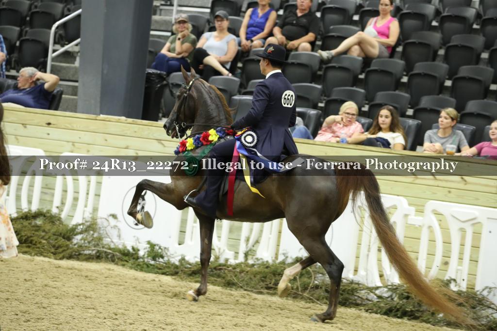 Proof 24R13_22272