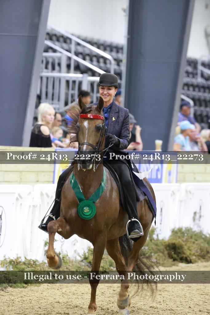 Proof 24R13_22273