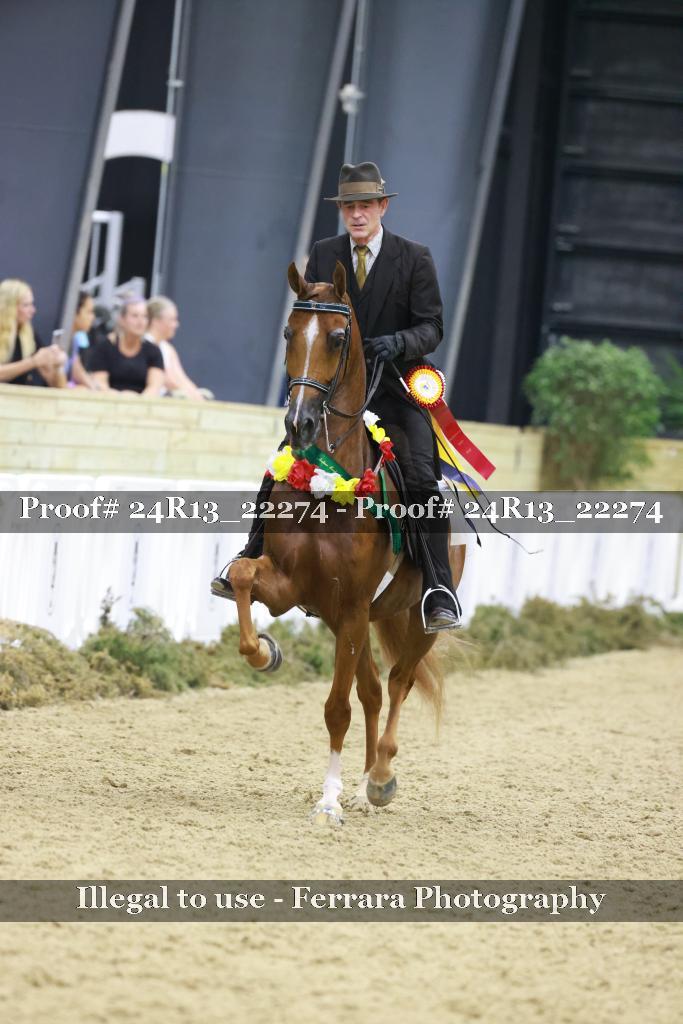 Proof 24R13_22274