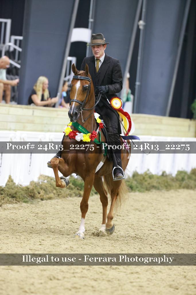Proof 24R13_22275