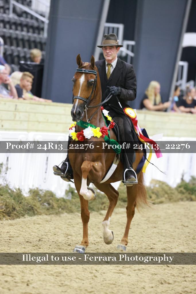 Proof 24R13_22276