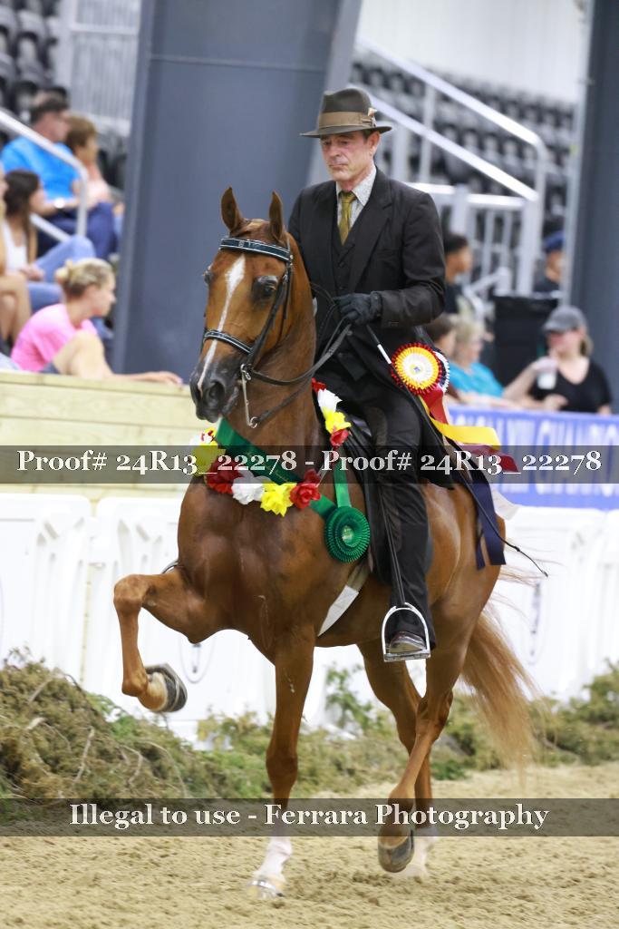 Proof 24R13_22278