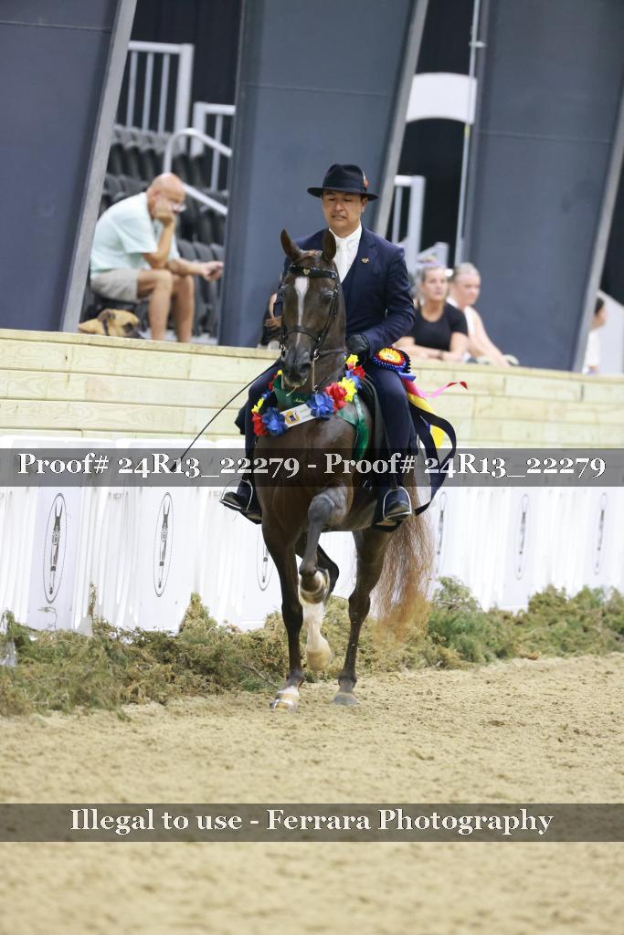 Proof 24R13_22279