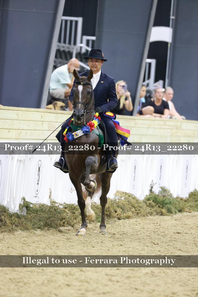 Proof 24R13_22280