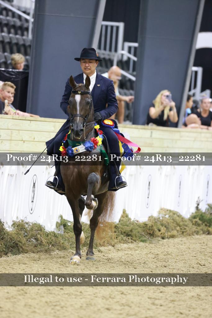 Proof 24R13_22281