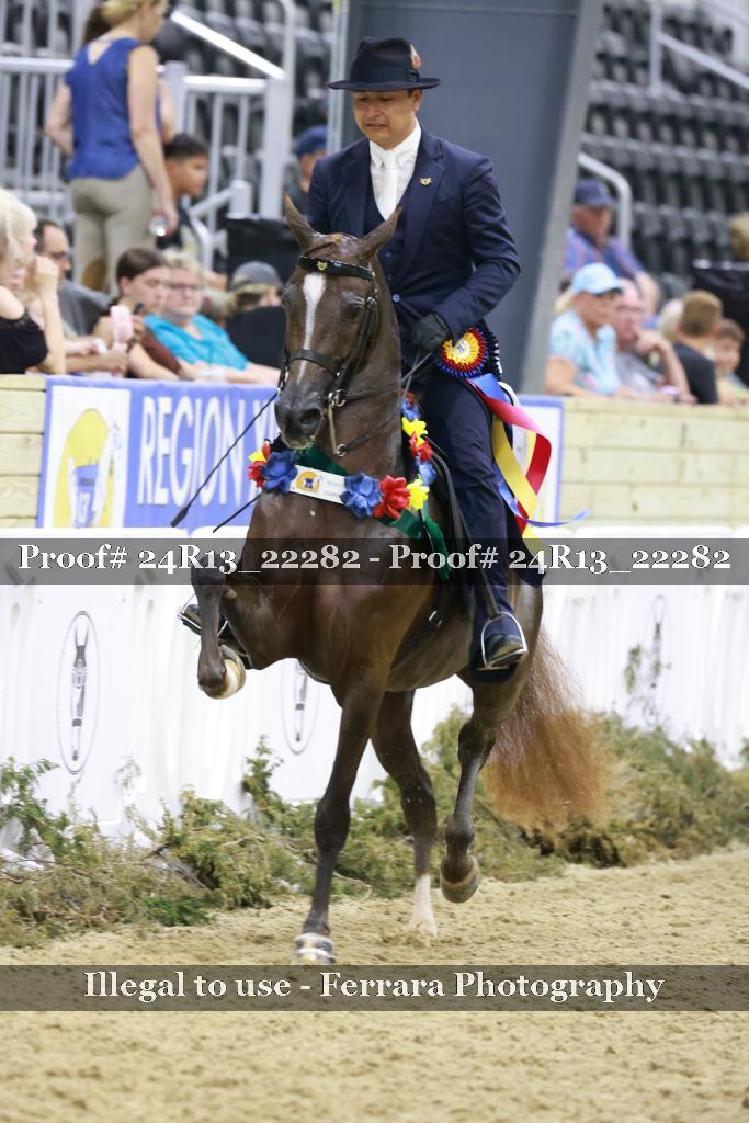 Proof 24R13_22282