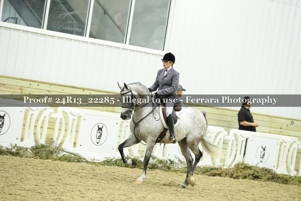 Proof 24R13_22285