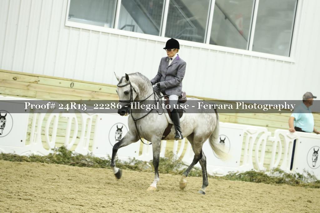 Proof 24R13_22286